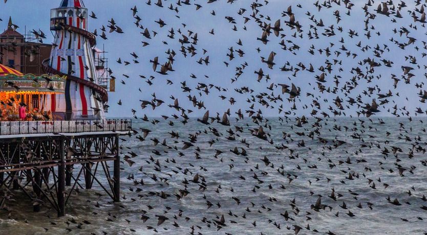 Photo of Art Deco Delight