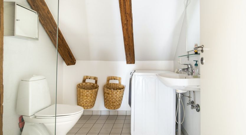 Photo of Out of the Woods