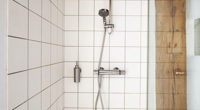 Photo of Out of the Woods