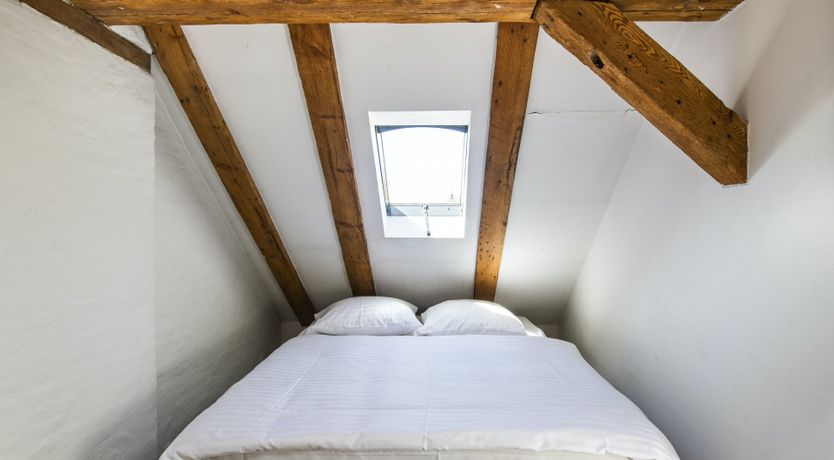 Photo of Out of the Woods