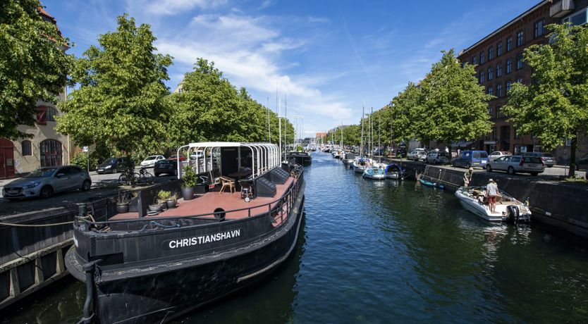 Photo of Out of the Woods