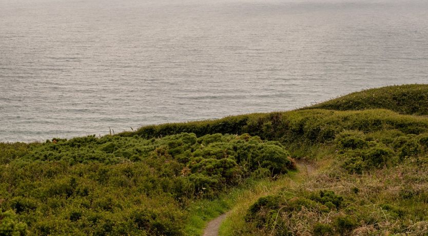 Photo of Clotted Cream
