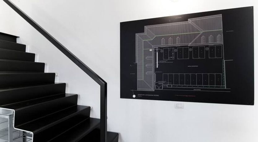 Photo of Life in Monochrome