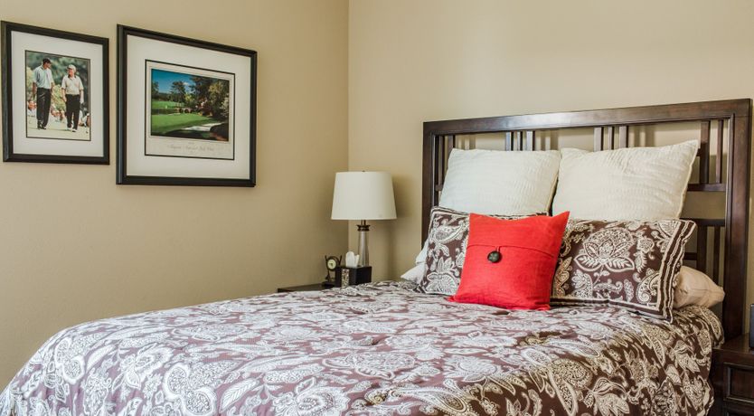 Photo of Sun-kissed Oasis