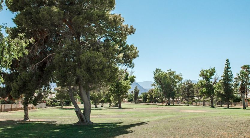 Photo of Sun-kissed Oasis