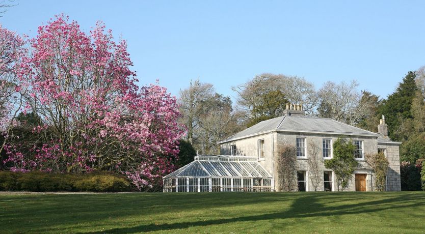 Photo of Festivities