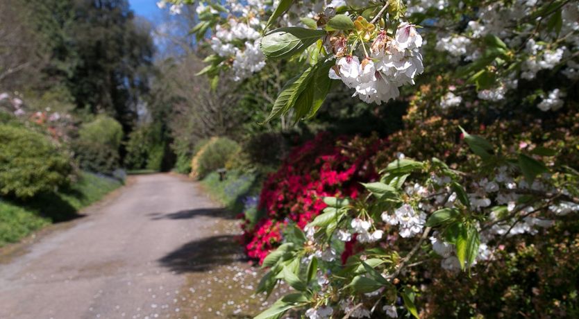 Photo of Festivities