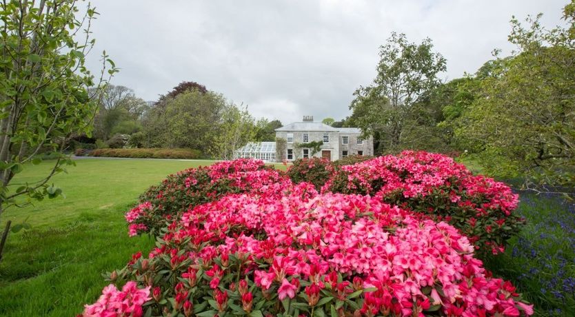 Photo of Festivities