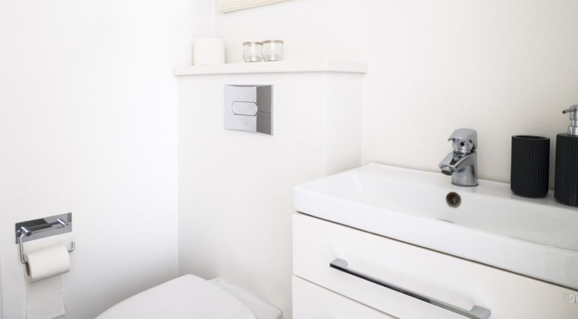 Photo of Bumblebee & Sapphire