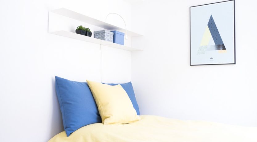 Photo of Bumblebee & Sapphire