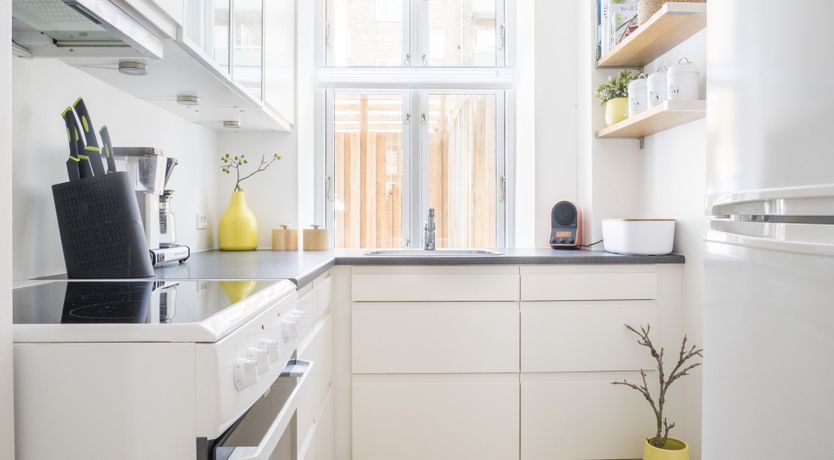 Photo of Bumblebee & Sapphire