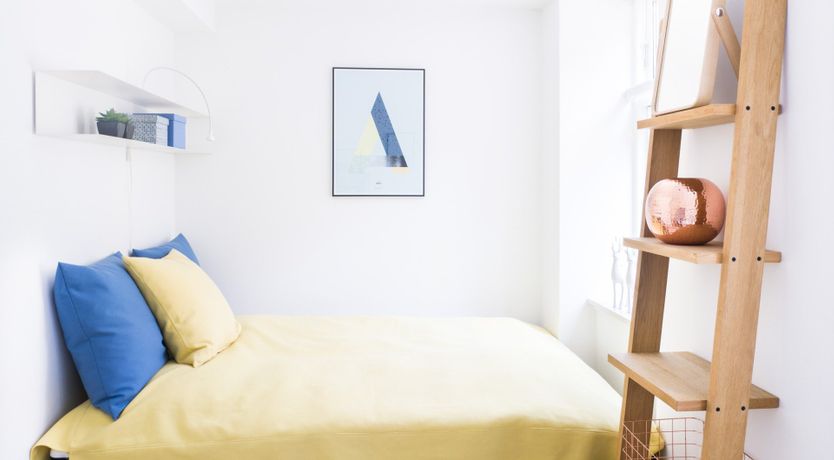 Photo of Bumblebee & Sapphire