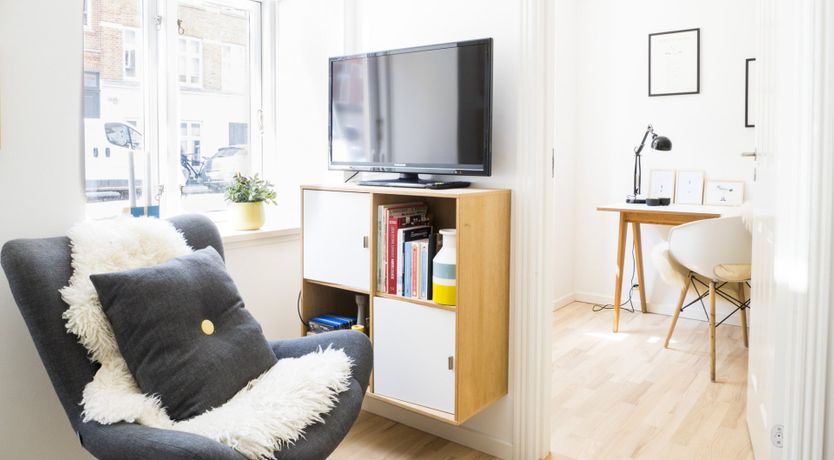 Photo of Bumblebee & Sapphire