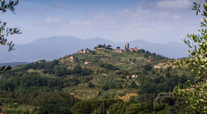Photo of Tuscan Cypress
