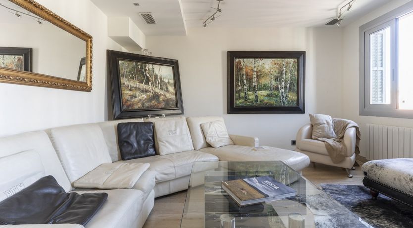 Photo of The Cow Skin