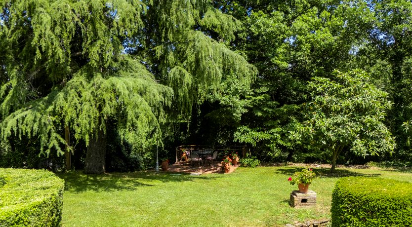 Photo of Flora Fortress