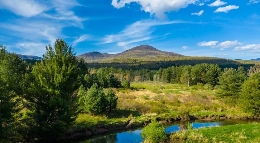 Photo of The Willow's Resting Place