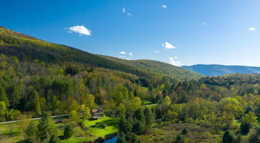 Photo of The Willow's Resting Place