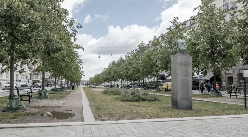 Photo of Order of the Elephant