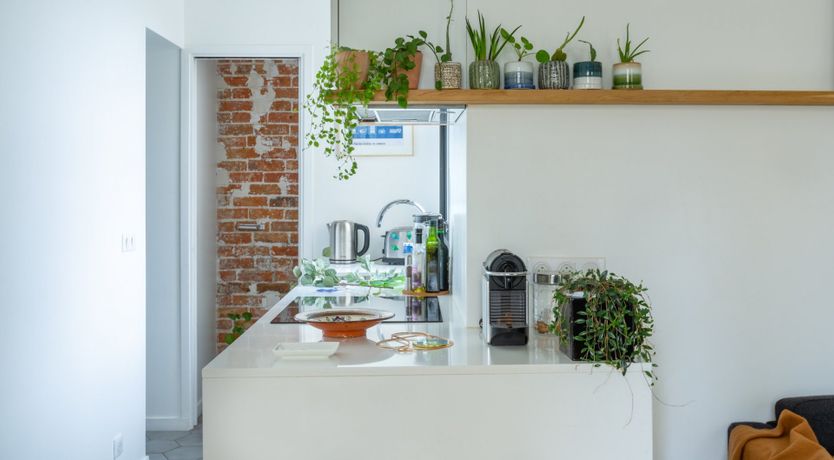 Photo of Botanist's Flask