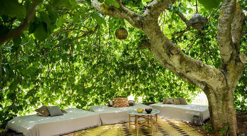 Photo of Village in the Sun