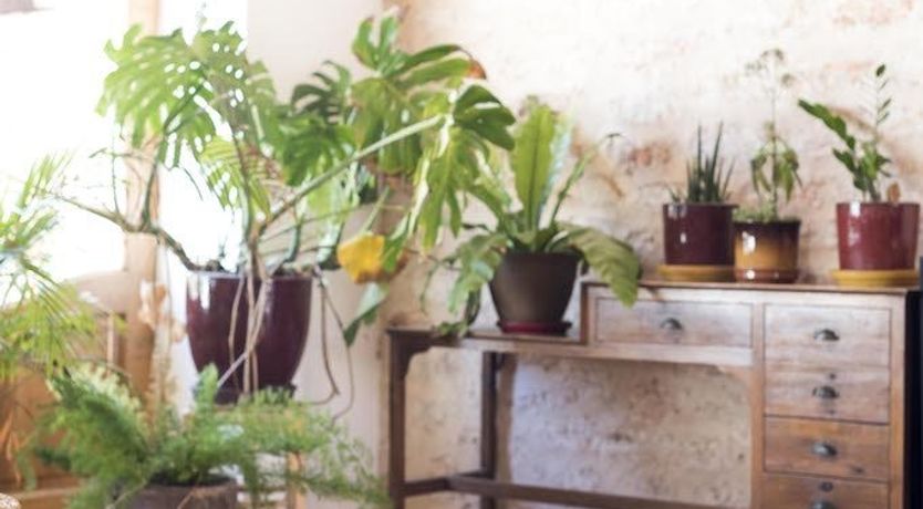 Photo of Village in the Sun