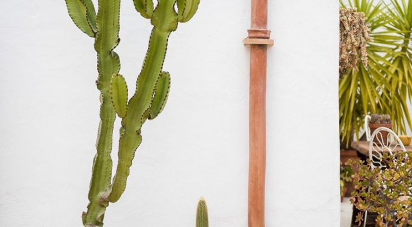 Photo of Village in the Sun