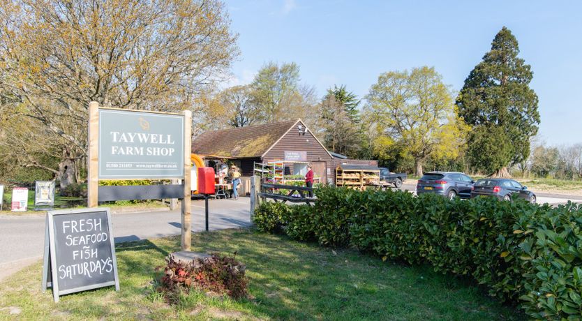 Photo of Perchance To Dream