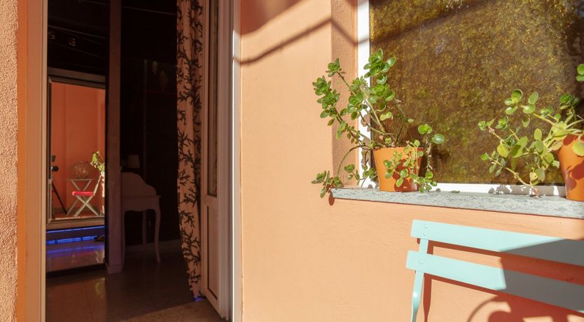 Photo of Gladiator Reef