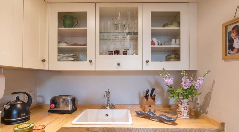 Photo of The Hummingbird