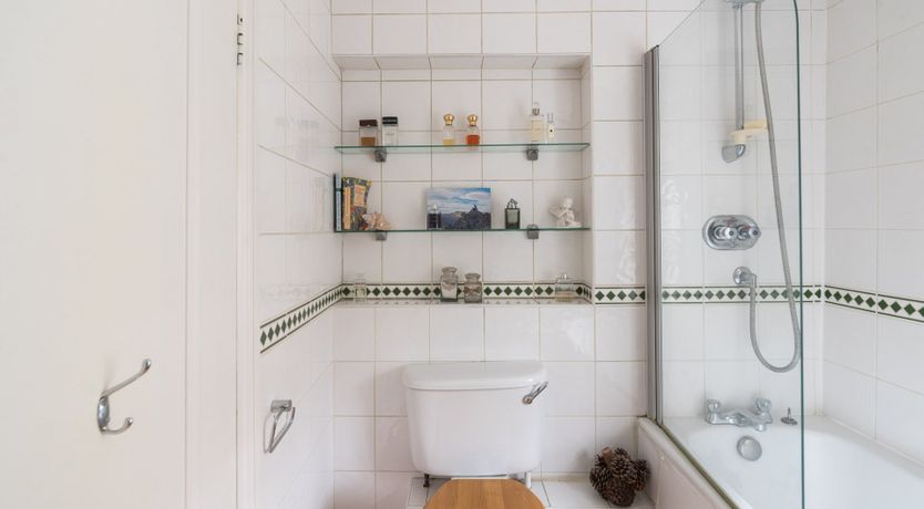 Photo of The Hummingbird