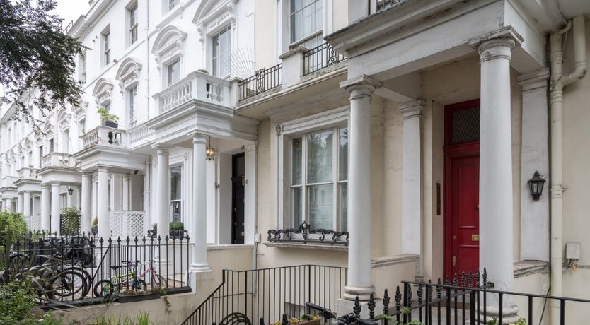 Photo of The Hummingbird