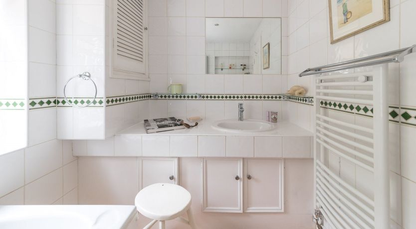 Photo of The Hummingbird