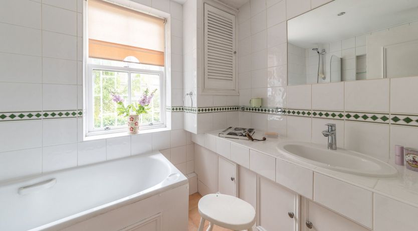 Photo of The Hummingbird