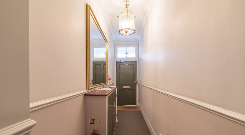 Photo of The Hummingbird