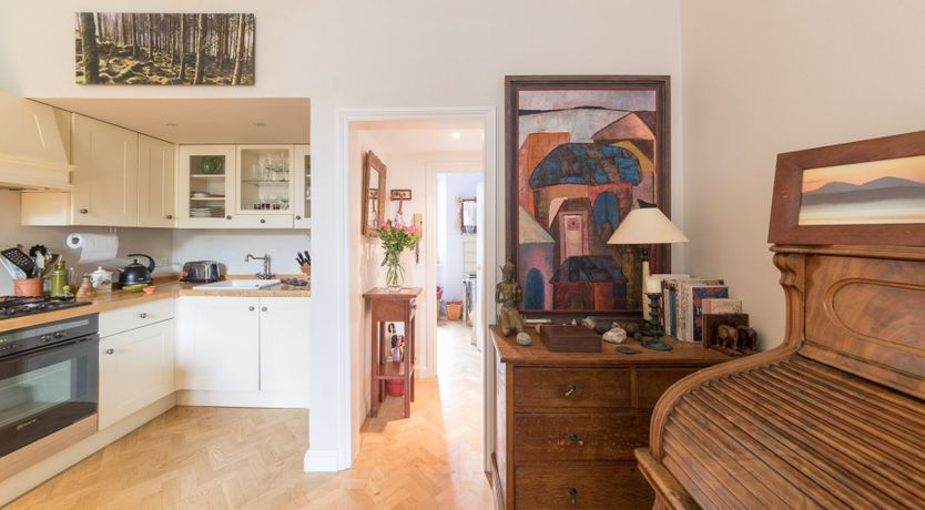 Photo of The Hummingbird