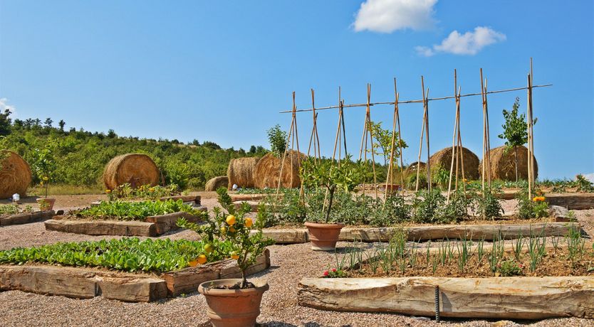 Photo of Truffle Strangozzi