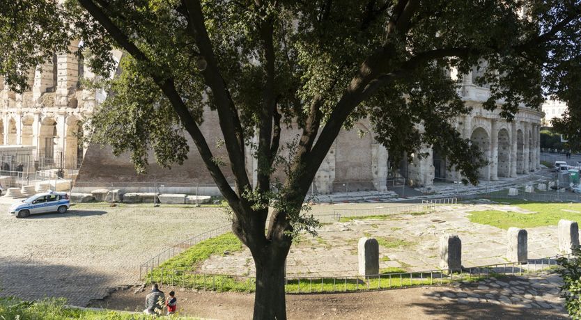 Photo of Jigsaw Frame