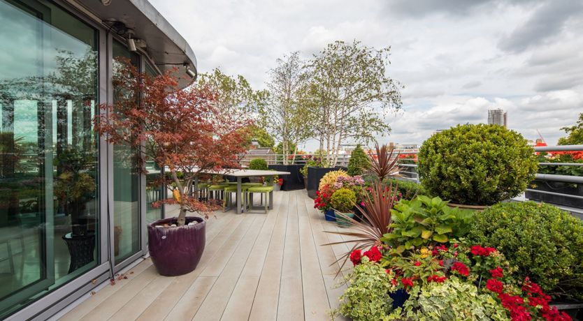 Photo of Penthouse Perspective