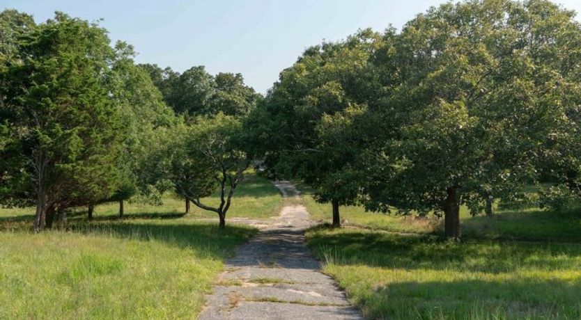 Photo of Blissful Thinking