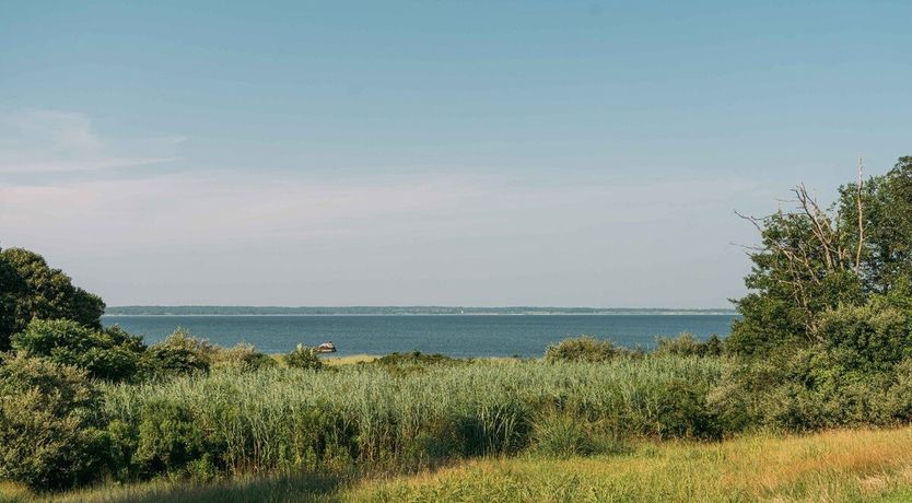 Photo of Blissful Thinking