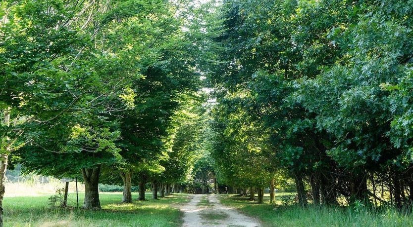 Photo of Blissful Thinking