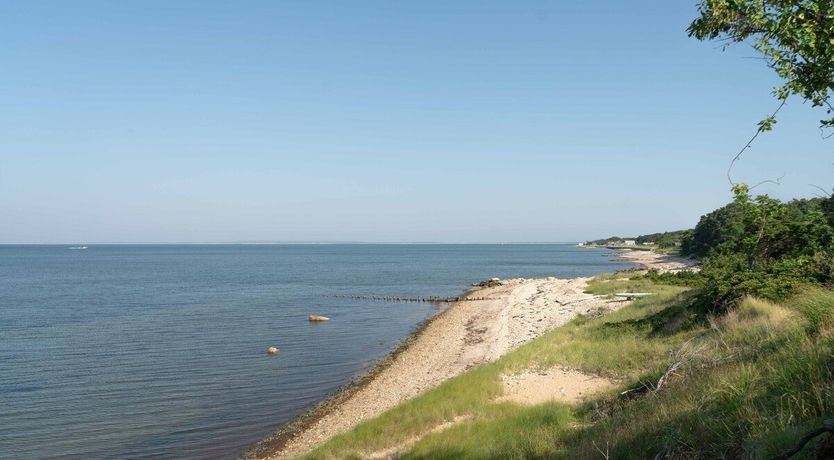 Photo of Blissful Thinking