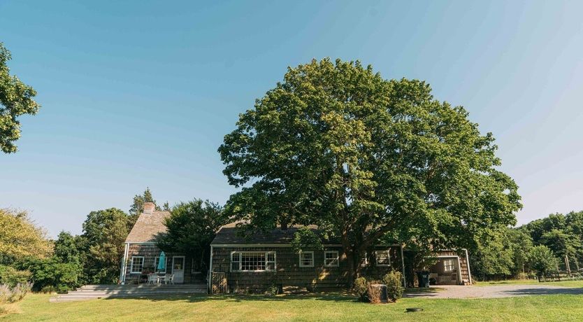 Photo of Blissful Thinking