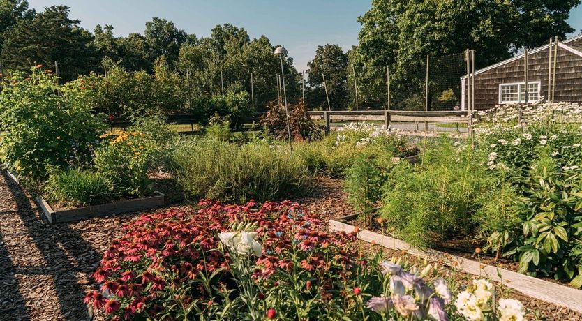 Photo of Blissful Thinking