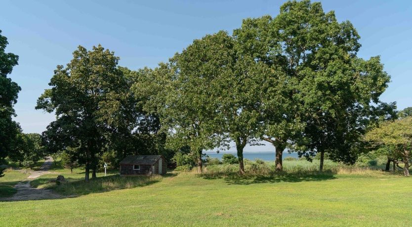 Photo of Blissful Thinking