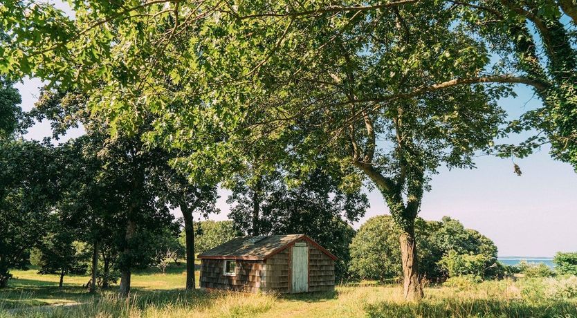 Photo of Blissful Thinking