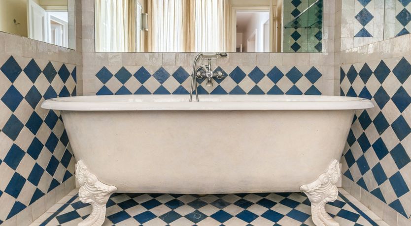 Photo of Yellow Tulip