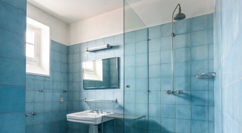 Photo of Yellow Tulip