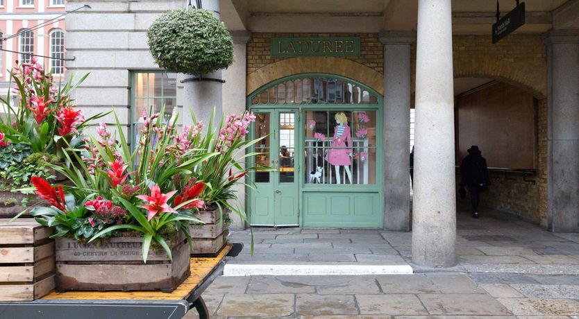 Photo of View From The Top